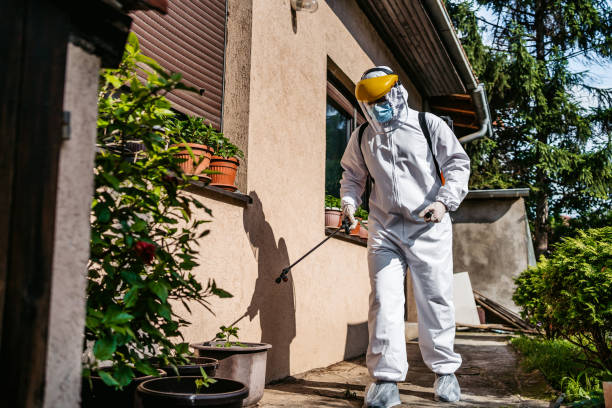 Best Affordable Pest Control Services  in Yale, MI