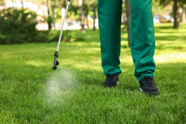 Trusted Yale, MI Pest Control Experts