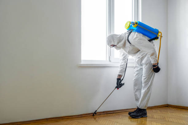 Pest Control Cost in Yale, MI