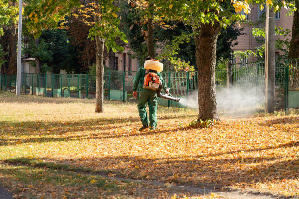 Best Cockroach Control Services  in Yale, MI
