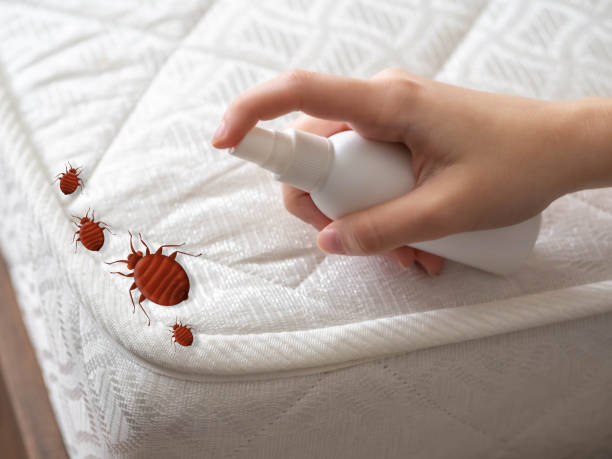 Best Commercial Pest Control Services  in Yale, MI