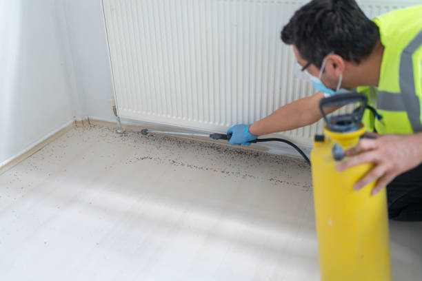 Best Emergency Pest Control  in Yale, MI